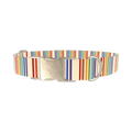 Rainbow Stripe Dog Collar - metal gold