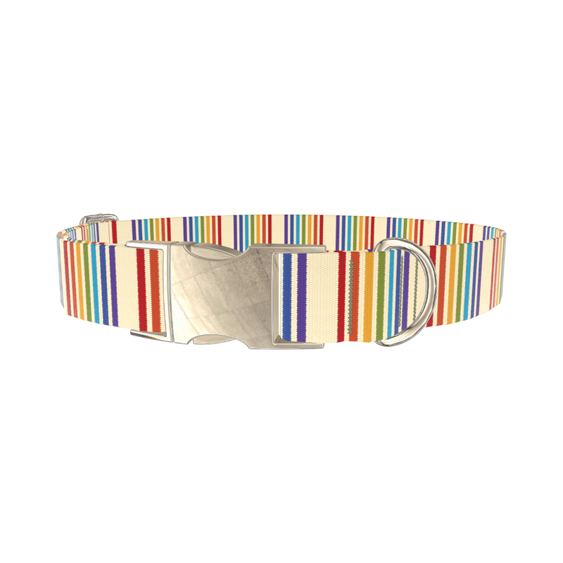 Rainbow Stripe Dog Collar - metal gold