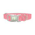 Pink Candy Cane Dog Collar - plastic silver