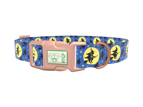 Halloween Witch Dog Collar