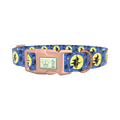 Halloween Witch Dog Collar - plastic gold