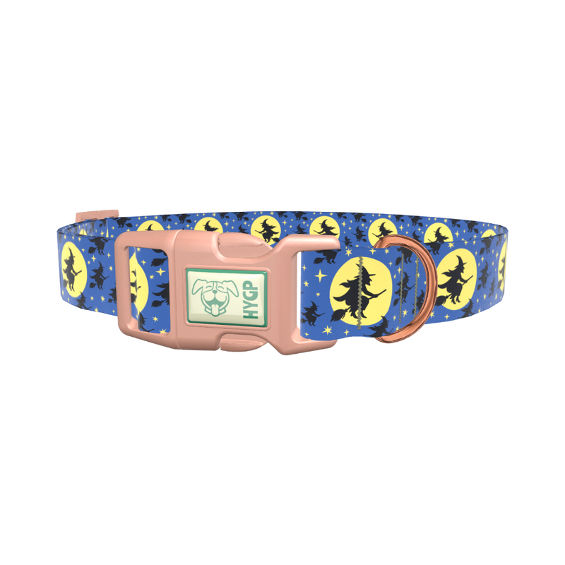 Halloween Witch Dog Collar - plastic gold