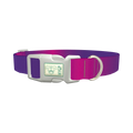 Pink Purple Gradient Dog Collar - plastic silver