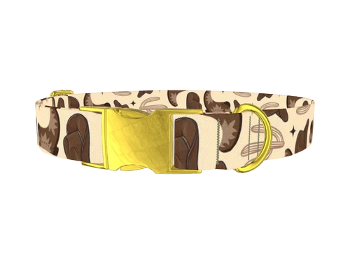DOG44_3_test_hexa11