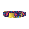 Cosmic Space Dog Collar - metal gold