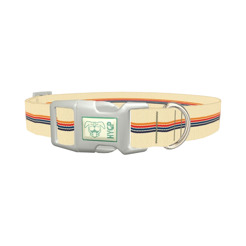 Colorful Hexagon Stripe Dog Collar - plastic silver
