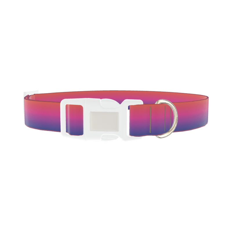 Gradient Pink Blue Dog Collar - plastic silver