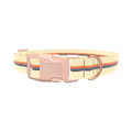 Colorful Hexagon Stripe Dog Collar - plastic gold