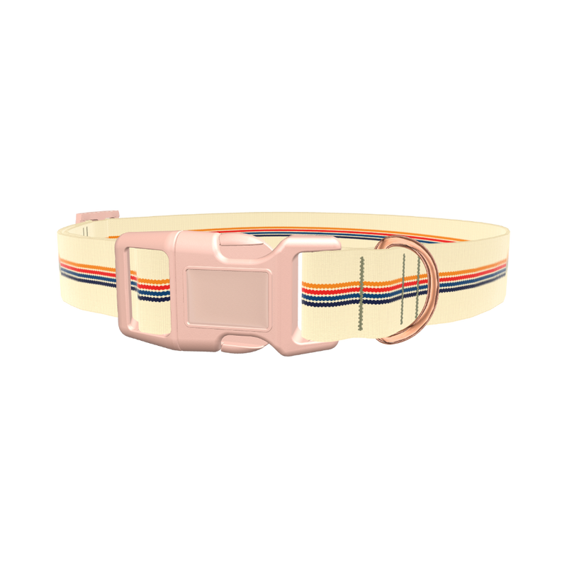 Colorful Hexagon Stripe Dog Collar - plastic gold