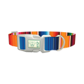 Mexican Textile Stripes Dog Collar - plastic silver
