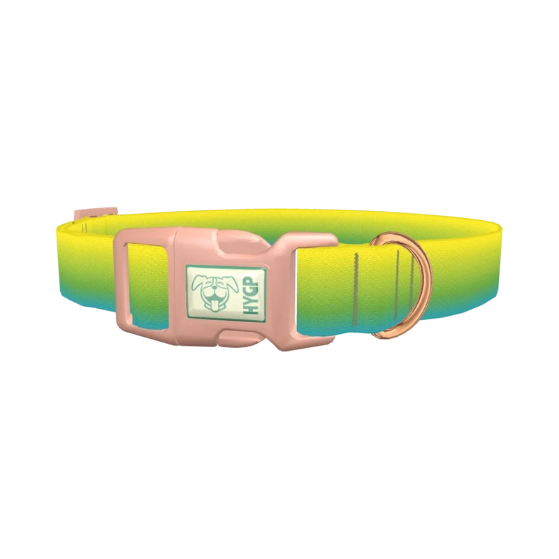 Gradient Dog Collar - plastic rose gold