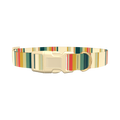 Striped Hexagon Dog Collar - plastic silver