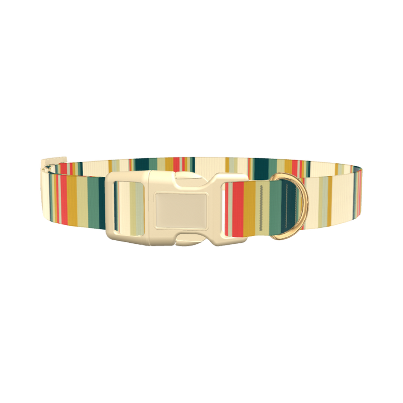 Striped Hexagon Dog Collar - plastic silver