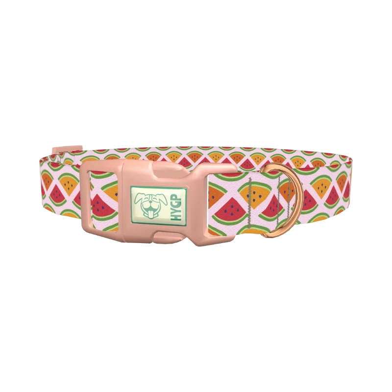Fruit Slice Dog Collar - plastic rose gold