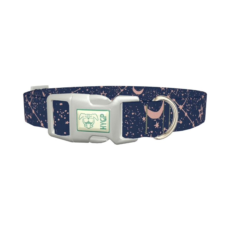 Cosmic Starry Night Dog Collar - plastic silver