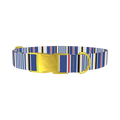 Bold Striped Dog Collar - metal gold
