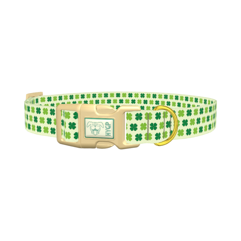 Four Leaf Clover Dog Collar - plastic gold