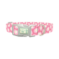 Easter Egg Daisy Dog Collar - plastic silver