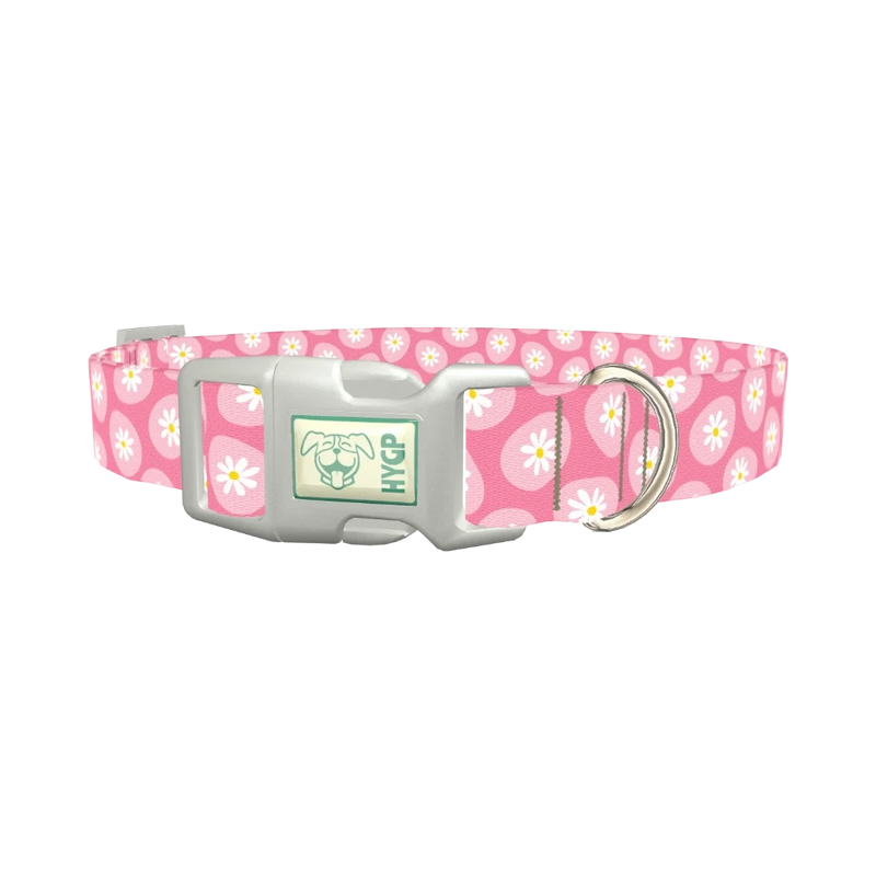 Easter Egg Daisy Dog Collar - plastic silver