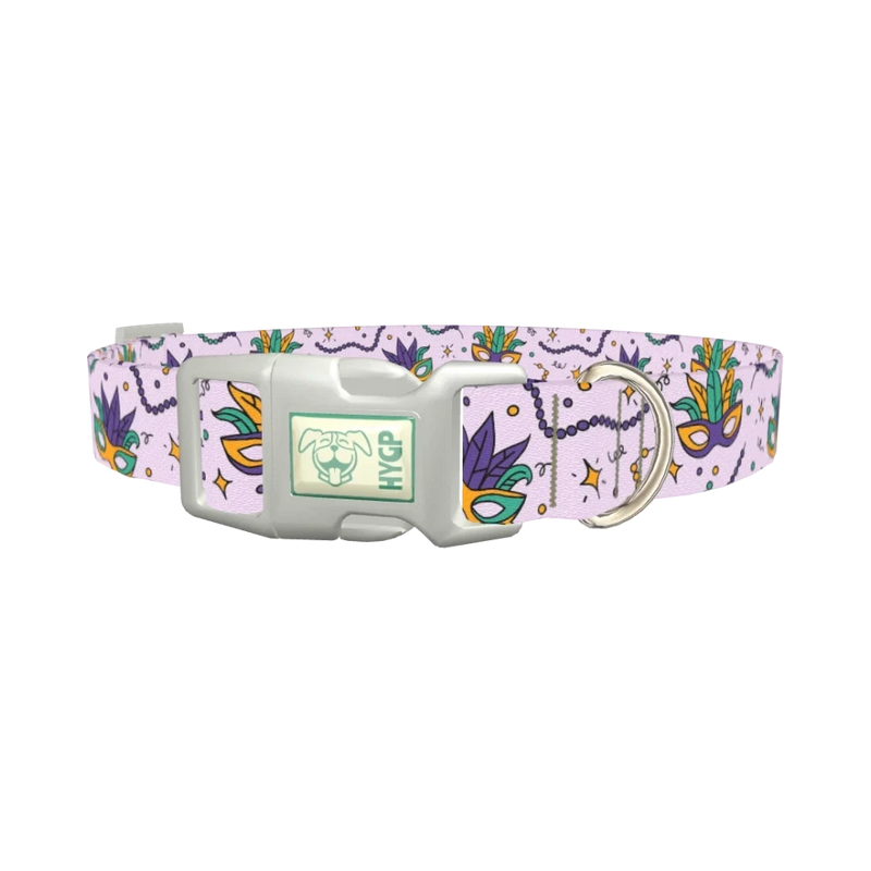 Mardi Gras Mask Dog Collar - plastic silver