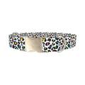 Colorful Leopard Dog Collar - metal silver