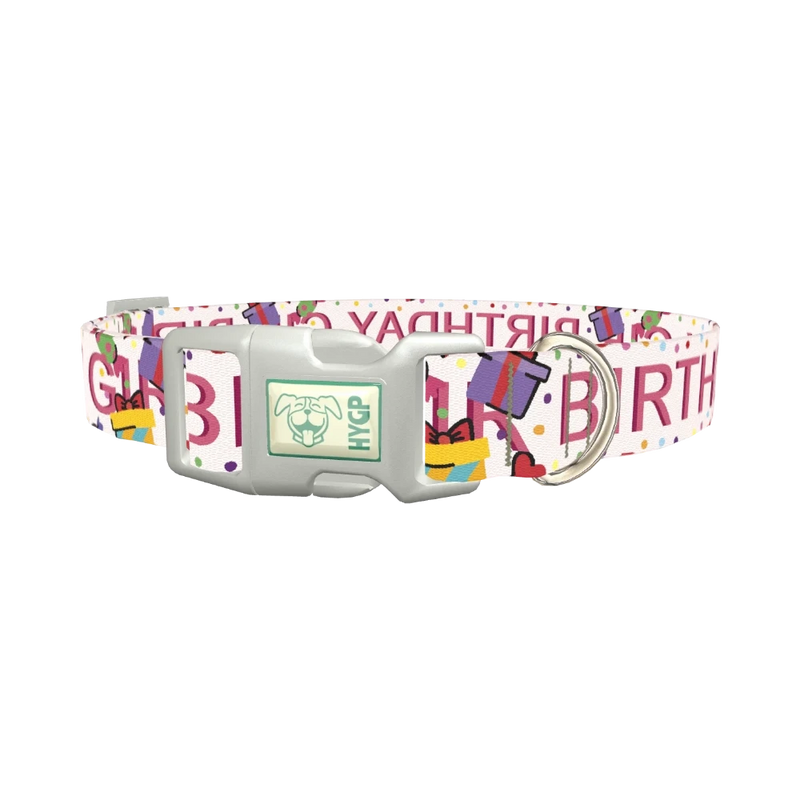 Birthday Celebration Dog Collar - plastic silver