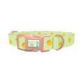 Rubber Duckies Dog Collar - plastic rose gold