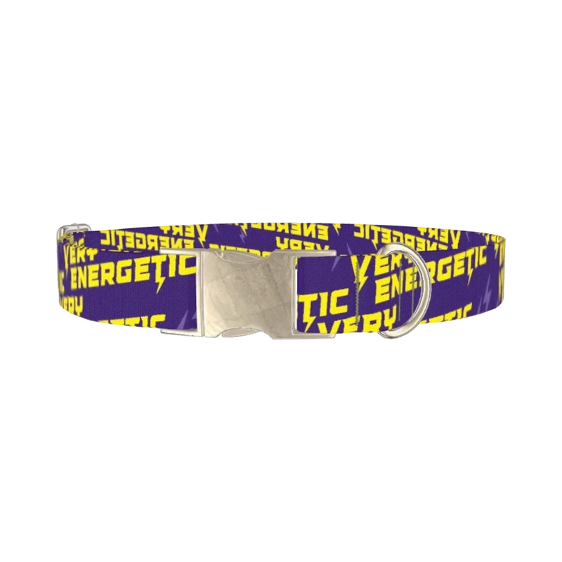 Energetic Lightning Dog Collar - metal silver