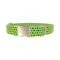 Lime Clover Pattern Dog Collar - metal gold