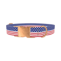 Patriotic Stars Dog Collar - metal rose gold