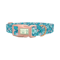 Floral Blue Dog Collar - plastic rose gold