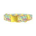 Colorful Splatter Dog Collar - metal gold
