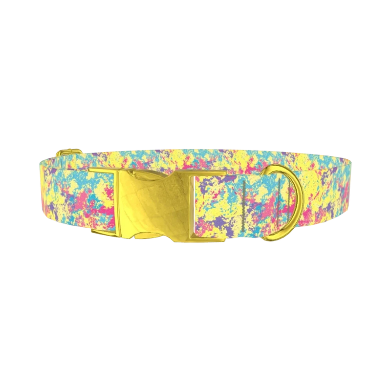 Colorful Splatter Dog Collar - metal gold