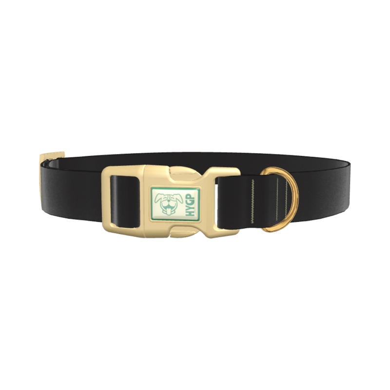 Nero Color Dog Collar - plastic silver