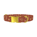 Western Rodeo Dog Collar - metal gold