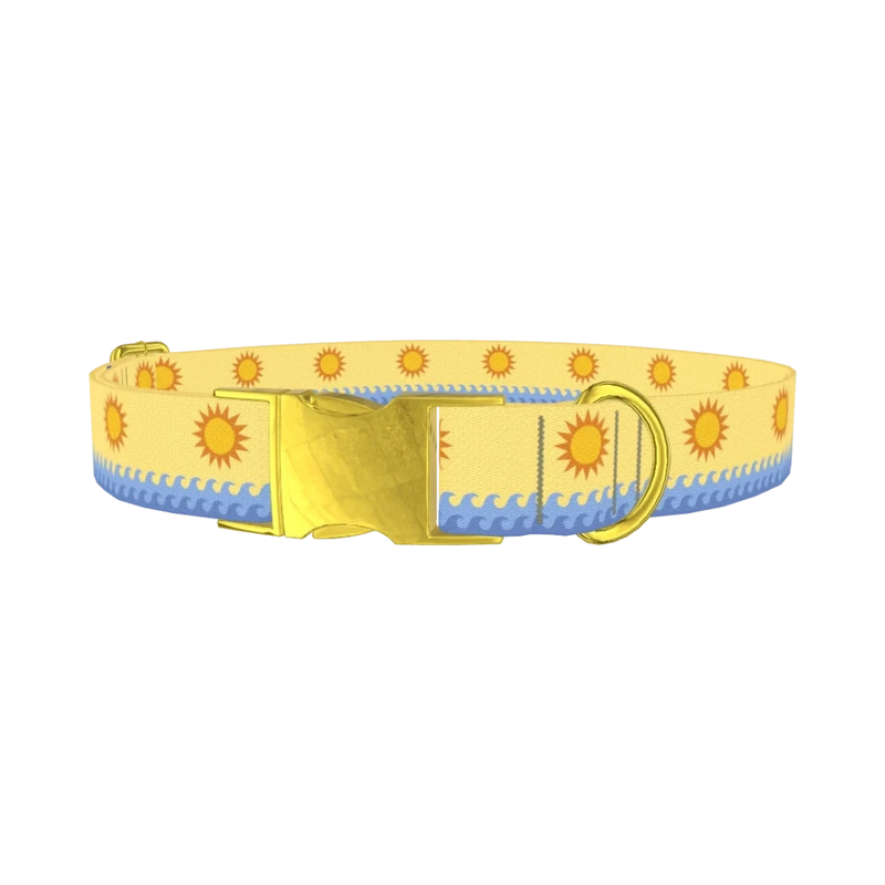 Beach Sun Dog Collar - metal gold