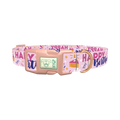 Birthday Cake Celebration Dog Collar - plastic rose gold
