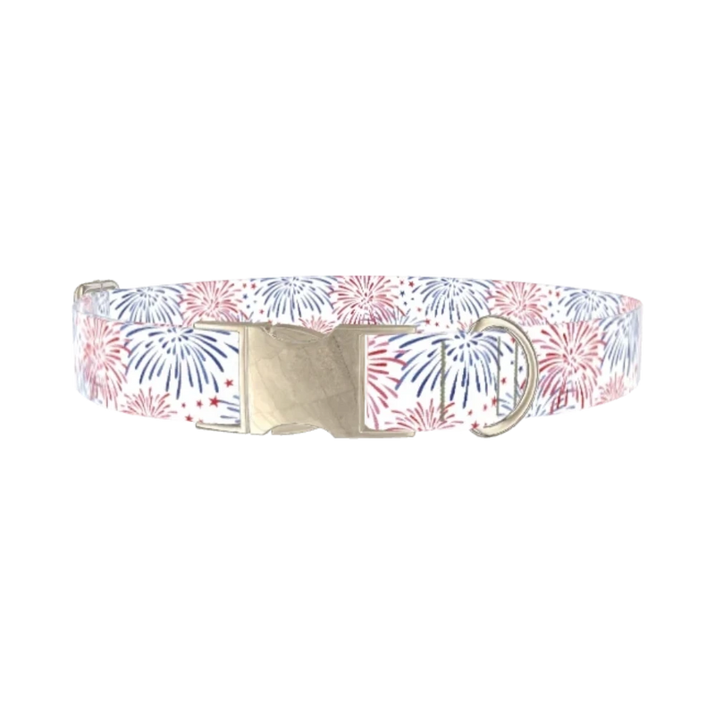 Fireworks Starburst Dog Collar - metal silver