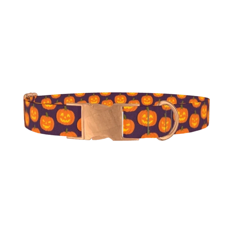 Halloween Pumpkin Dog Collar - metal rose gold