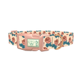 Rose Butterfly Dog Collar - plastic rose gold