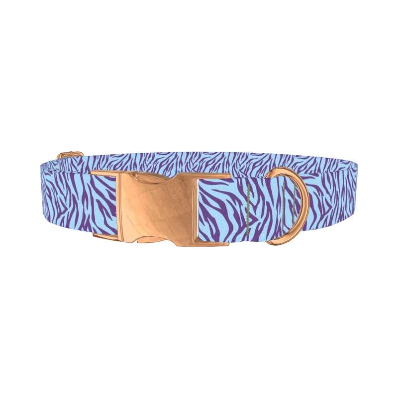 Zebra Stripe Dog Collar - metal rose gold