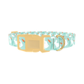 Carrot Bunny Dog Collar - plastic gold