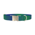 Gradient Blue Dog Collar - metal silver