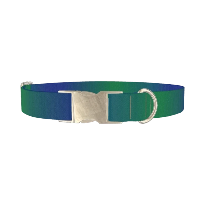 Gradient Blue Dog Collar - metal silver