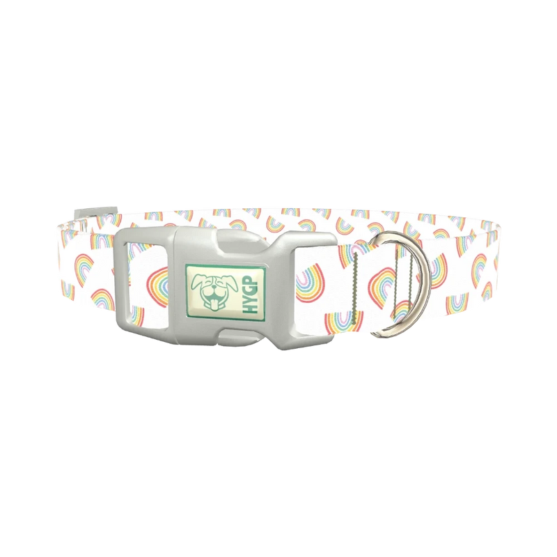 Rainbow Pattern Dog Collar - plastic silver