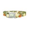 Pumpkin Floral Dog Collar - plastic silver