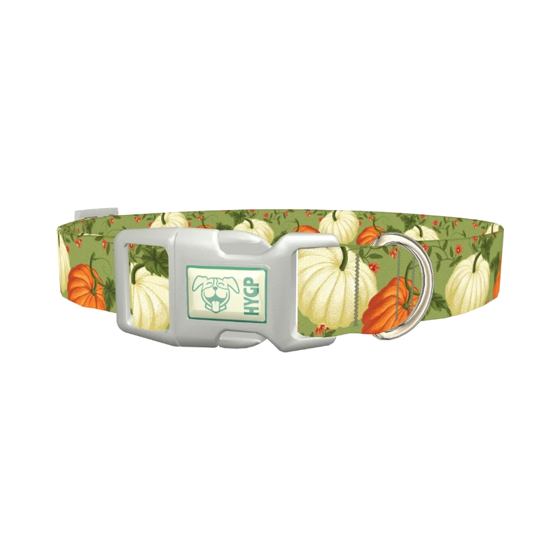 Pumpkin Floral Dog Collar - plastic silver