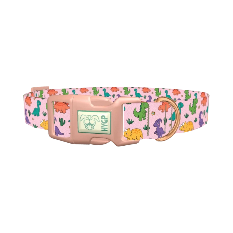 Dinosaur Mix Dog Collar - plastic rose gold