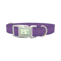 Purple Snake Print Dog Collar - plastic silver