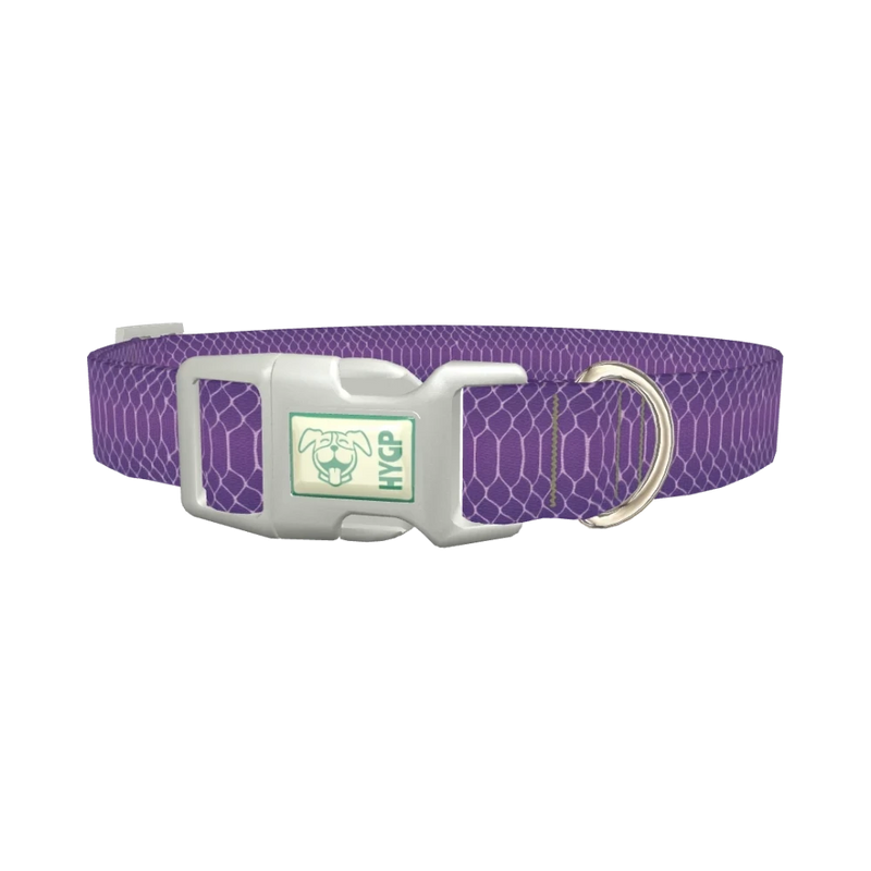 Purple Snake Print Dog Collar - plastic silver